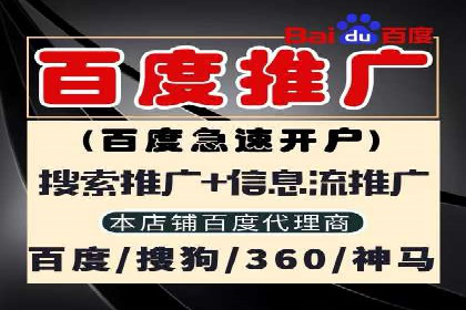 网络推广与竞价策略实战案例